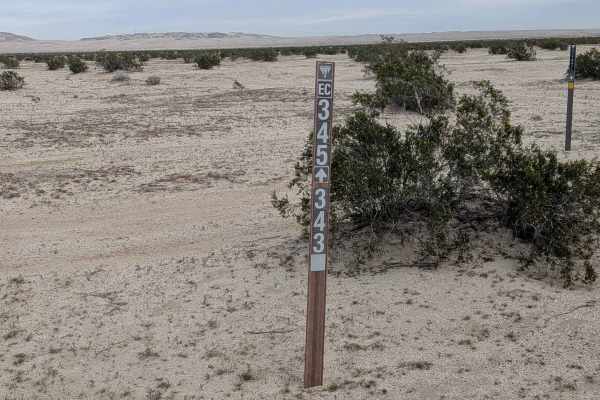 BLM 345