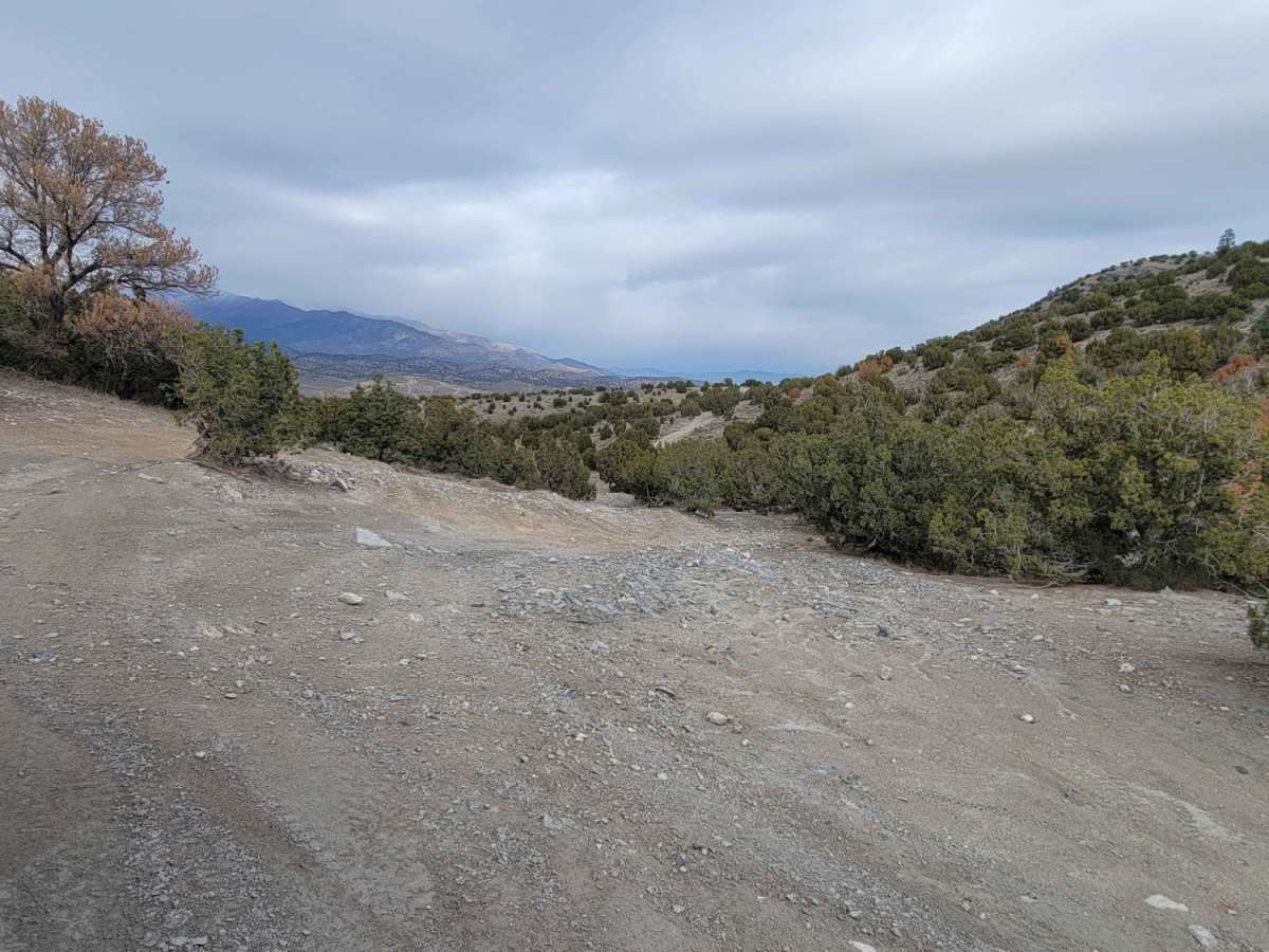 Horseshoe Way photo 3