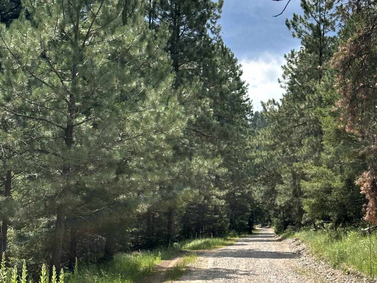 Telephone Canyon photo 2