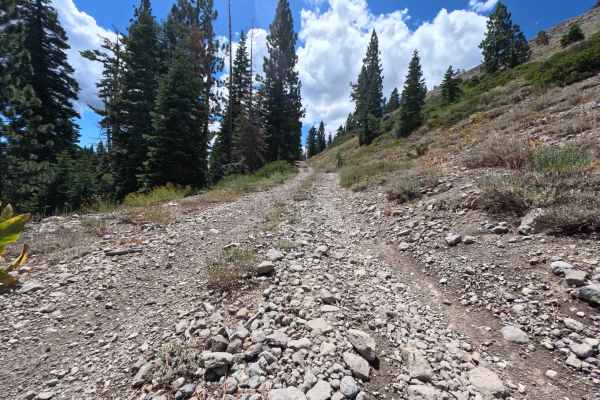 Pole Creek East - FS 5708-002