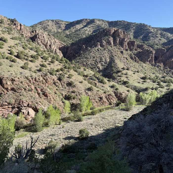 Near The Temple Trail