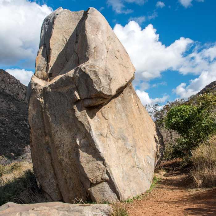 Near Climbers Loop Trail