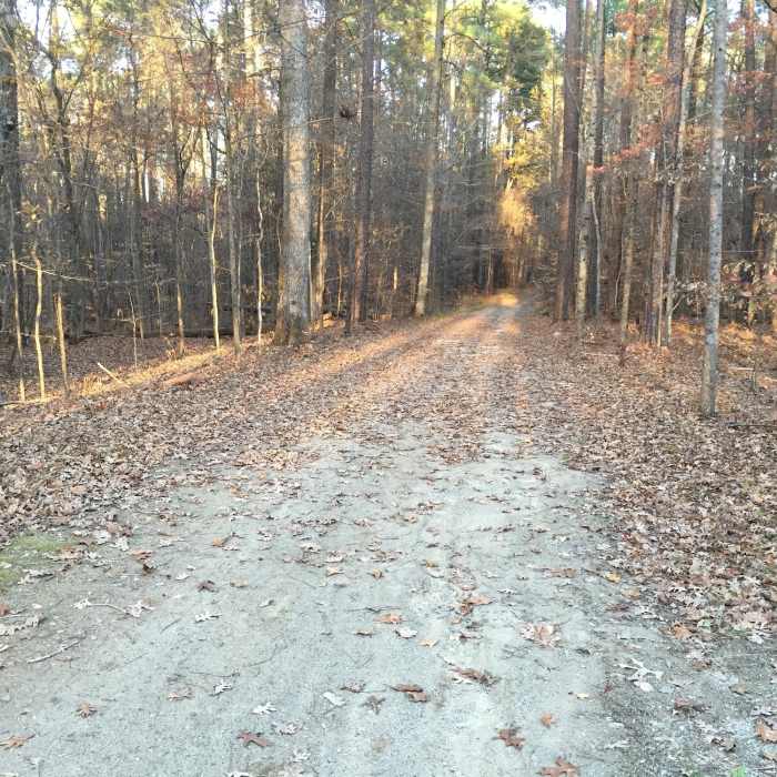 Near Cedar Ridge Multiuse Trail