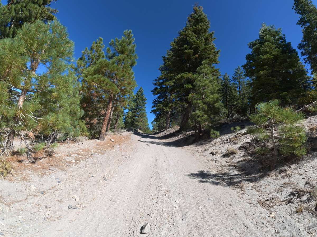 FS 03S03A trail photo