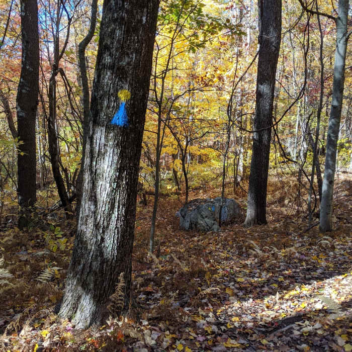 Near Holbrook to Donker Farm