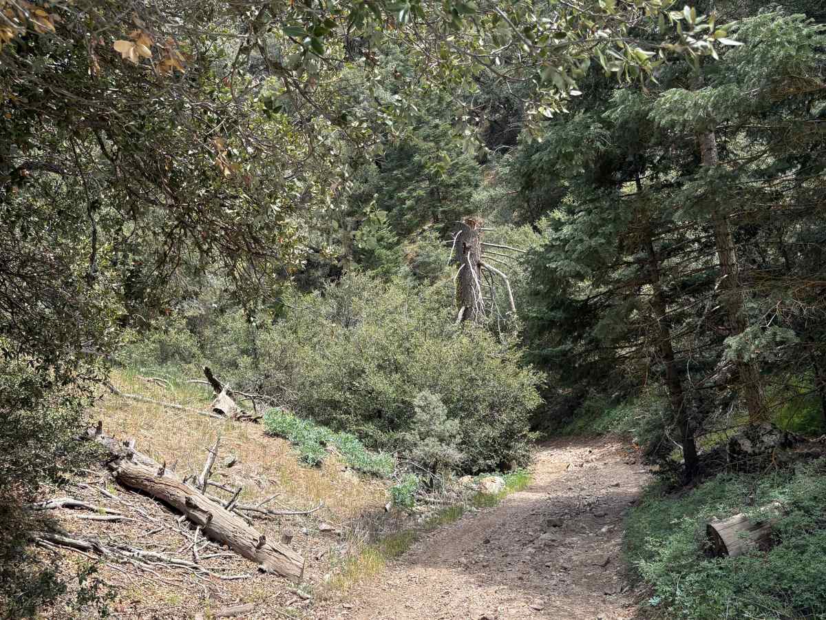 Salt Creek photo 5