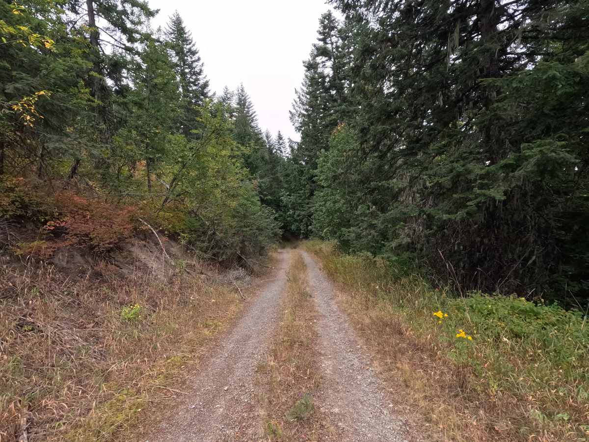 North Skookum Lake Road - FS 5000128 photo 5