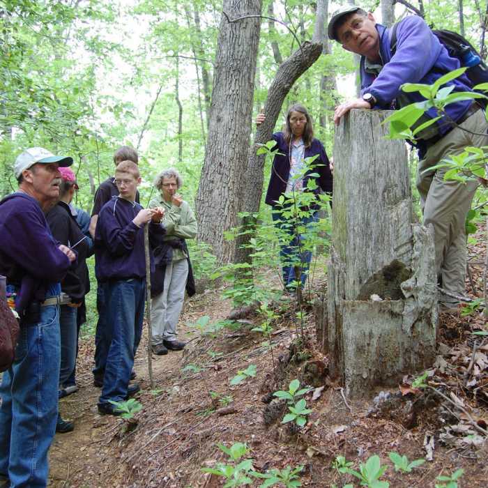 Hikers check out a tree stump during the annual May Rhodo Ramble. Near Flower Hill Trail