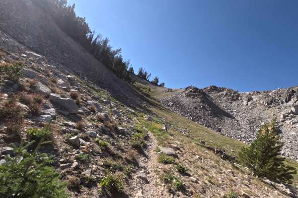 South Fork Ross Fork - FS 7227