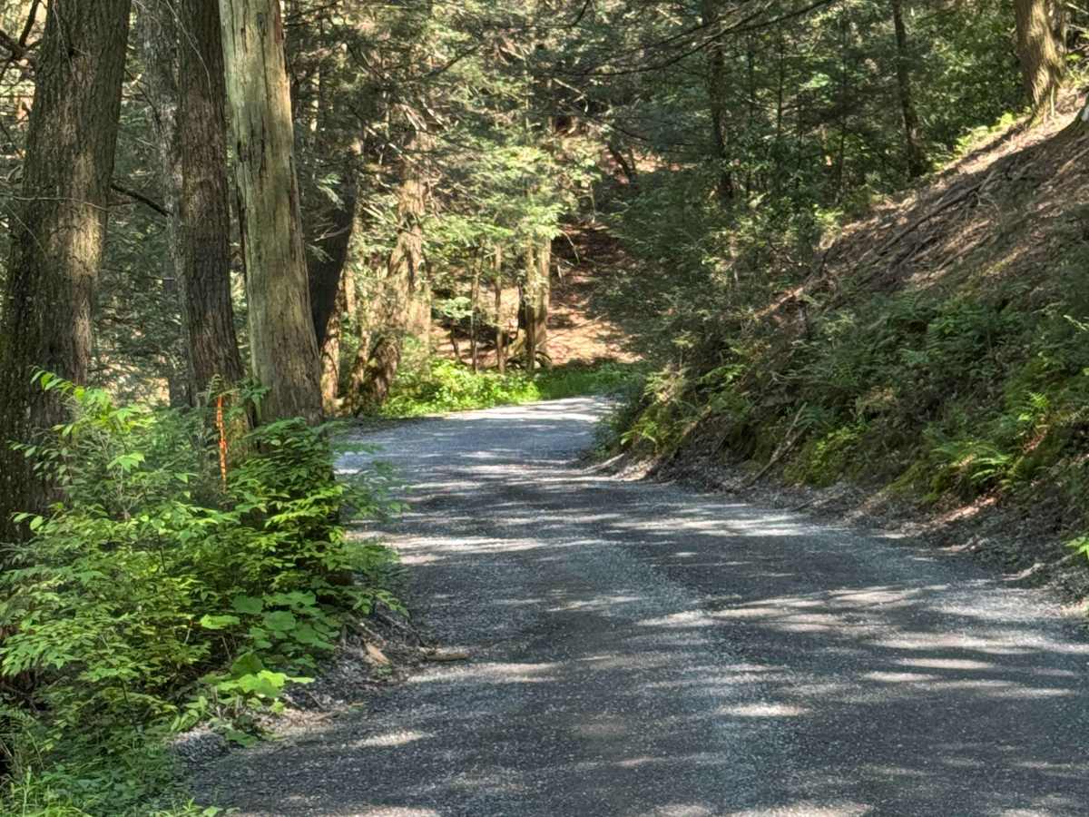 Boone Road trail photo