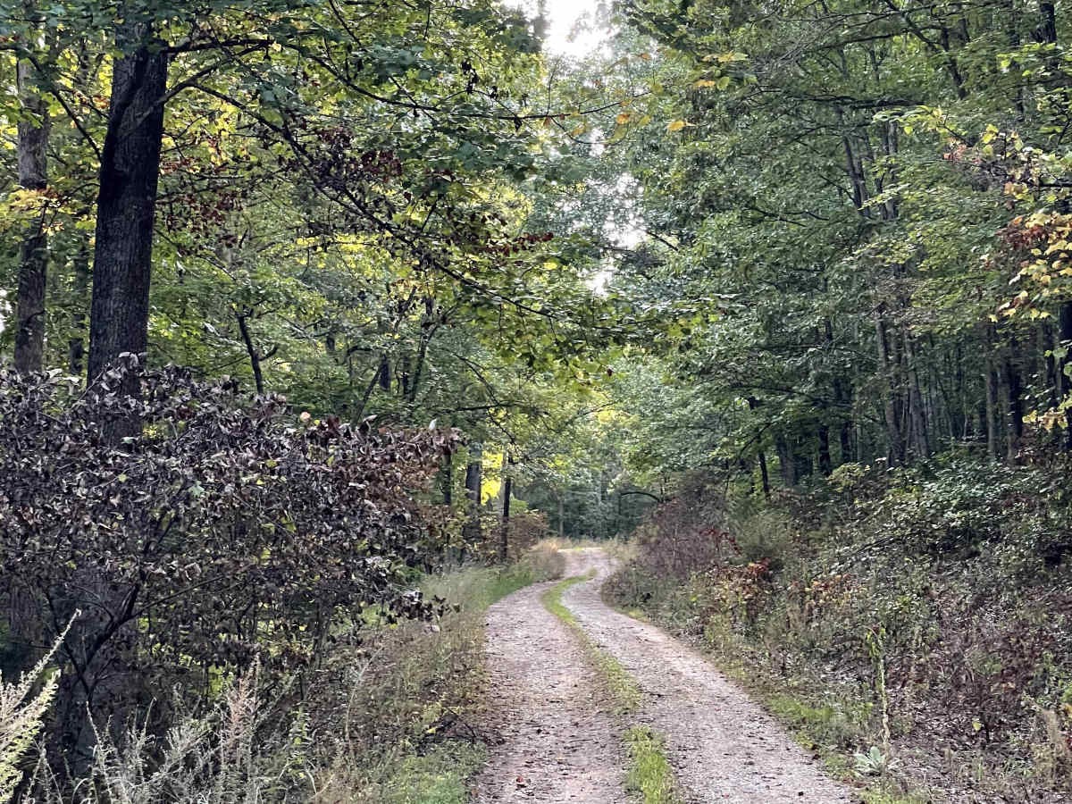 Mill Creek Road photo 3