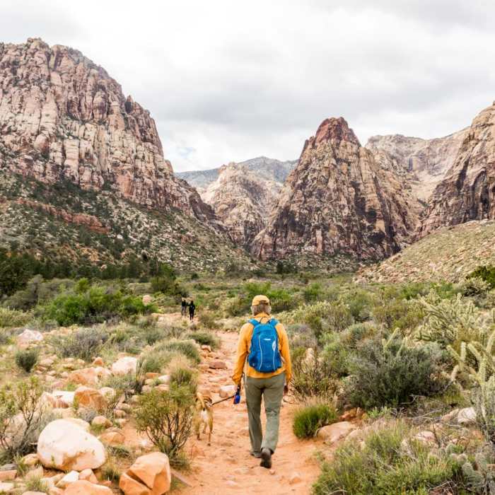 Near Pine Creek Canyon Hike