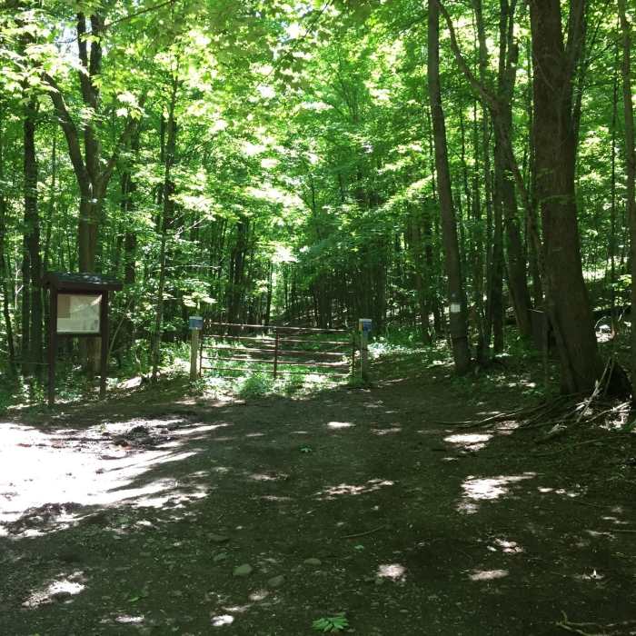 Near Bramley Mountain Loop