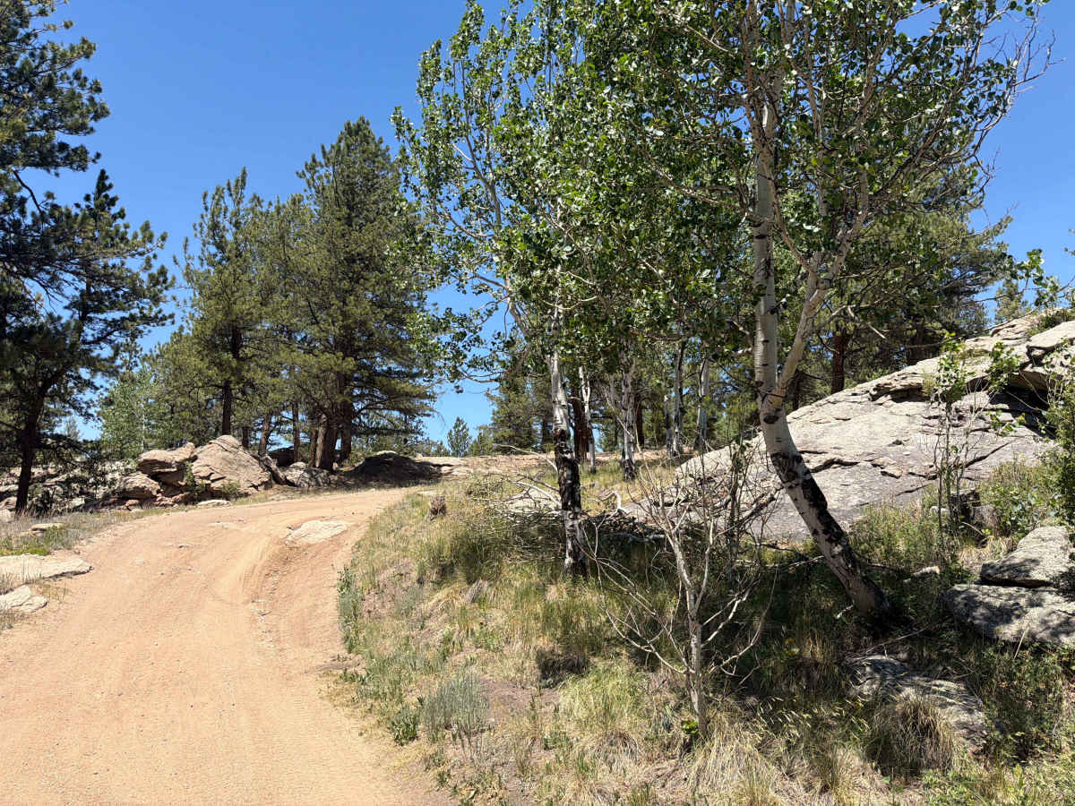 Burma Shave Road - FS 242 photo 5