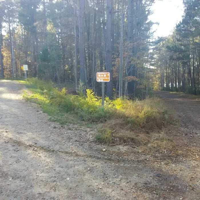 Near Rock Point Trail