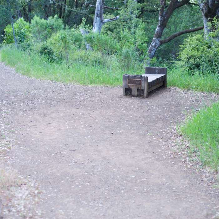 Near Franciscan Loop Trail
