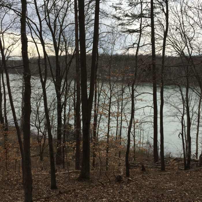 Near Cool Spring Run to Loops