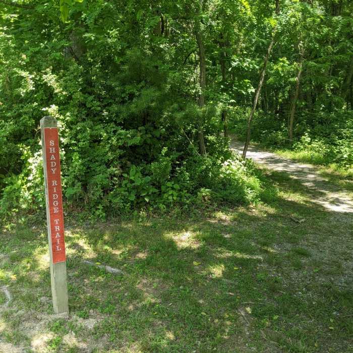 Near Shady Ridge Loop