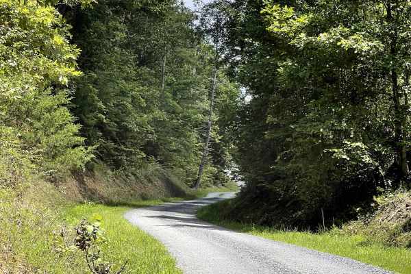 Draft Road