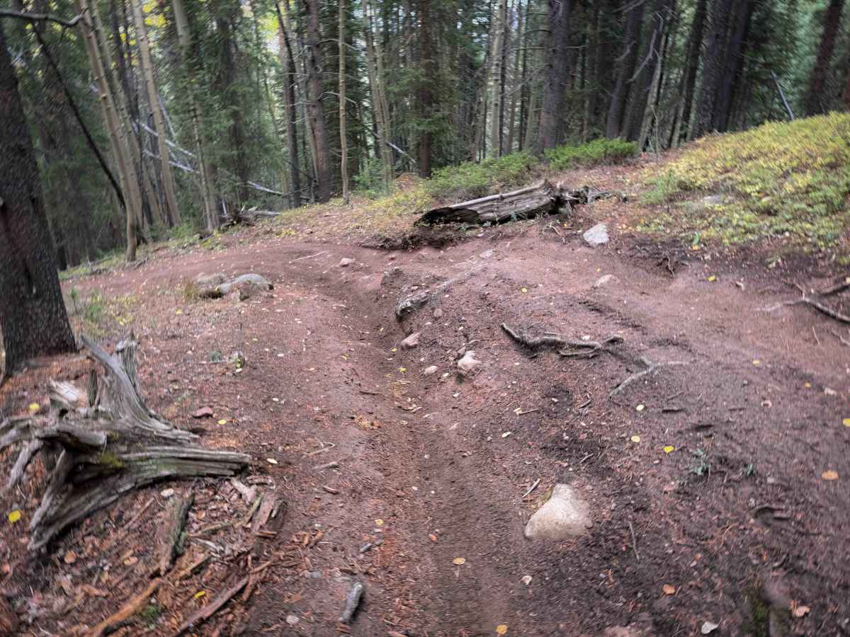Deadman Gulch Trail - FS 420  photo 3