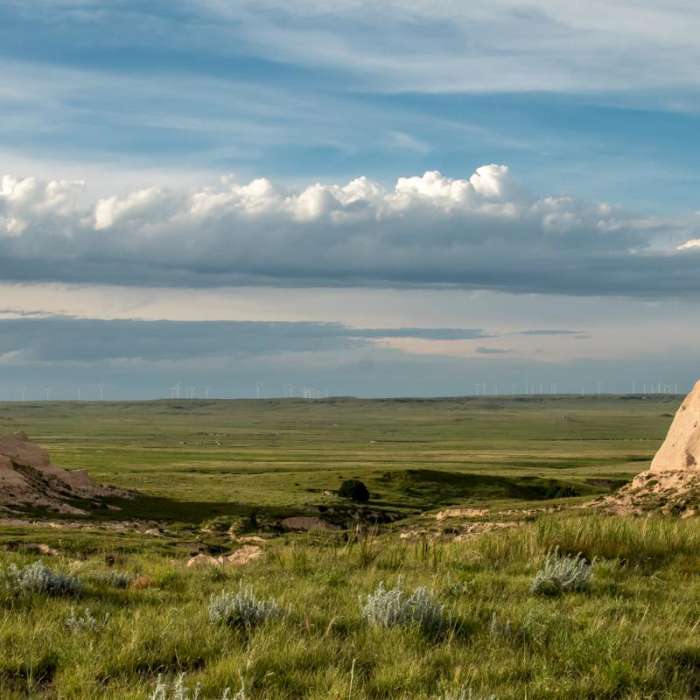 Near Pawnee Buttes Trail