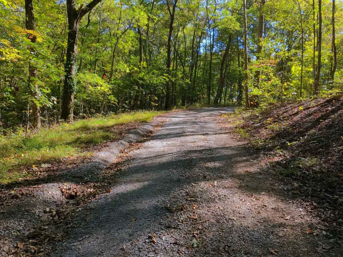 Shanklin Creek - FS 158 trail photo