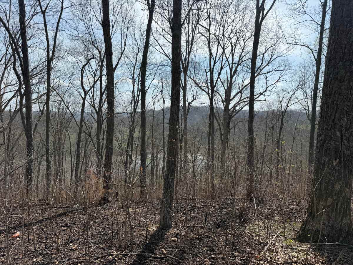 Wolcott Trail photo 4