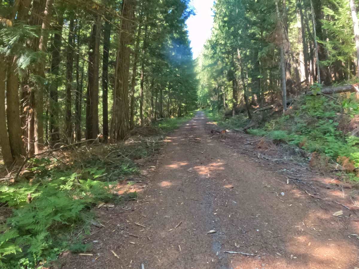 Minto Mountain Road - FS 2253125 photo 3