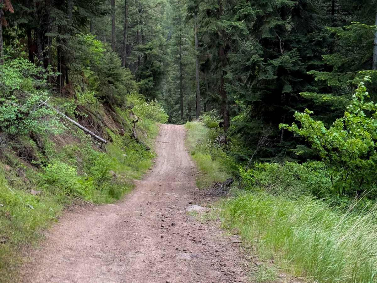 Training Day - Trail 410  photo 5