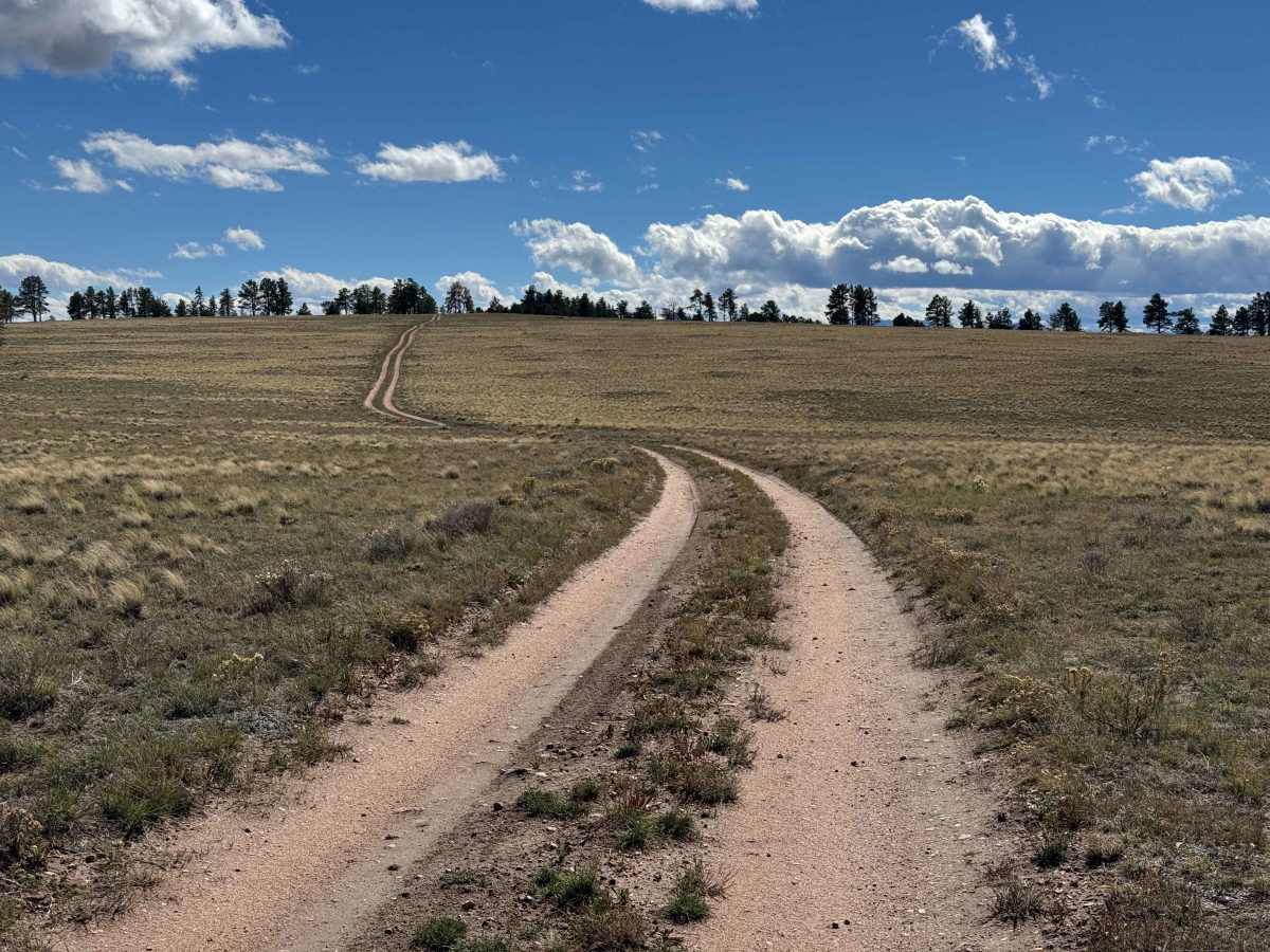 FS 415 trail photo