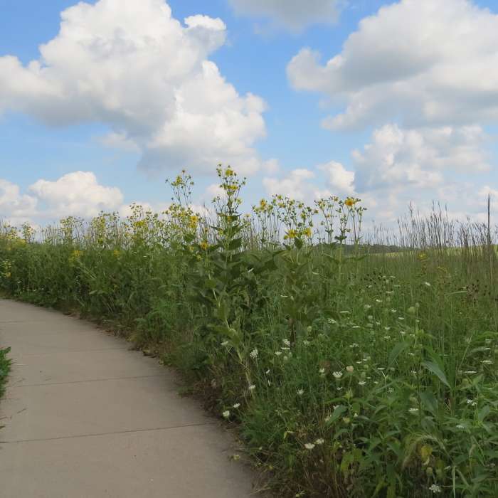Near Tallgrass Trail
