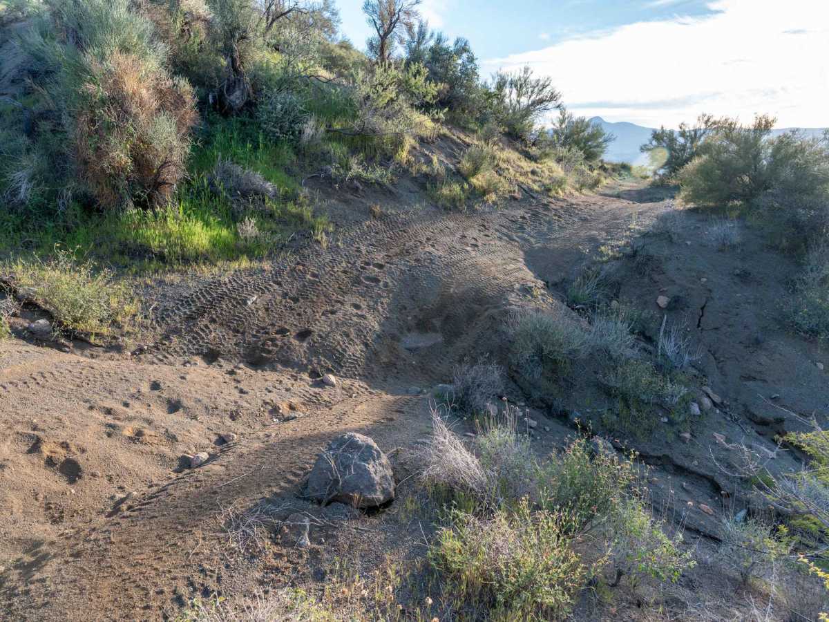 Blue Peak Canyon trail photo