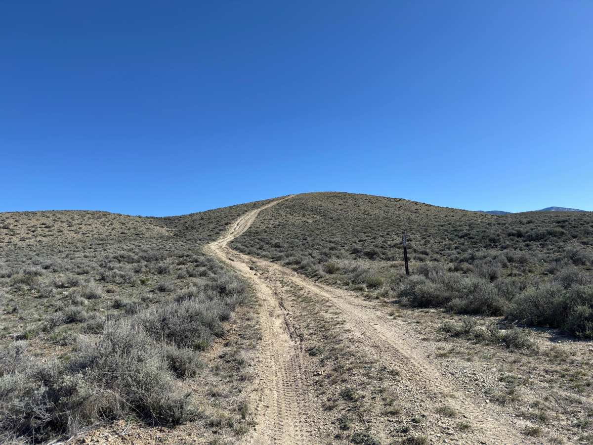 BLM 124 trail photo