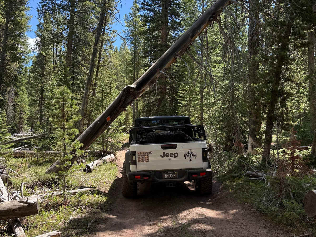 Anderson Creek photo 2