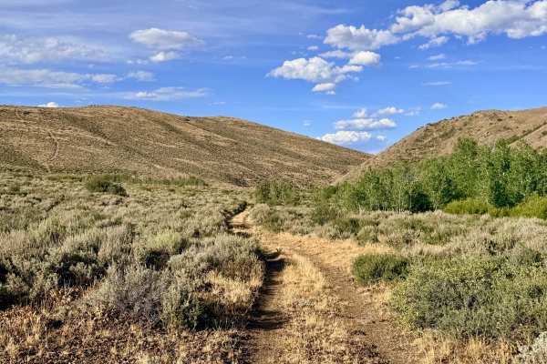 Winters Creek Road - FS 56156