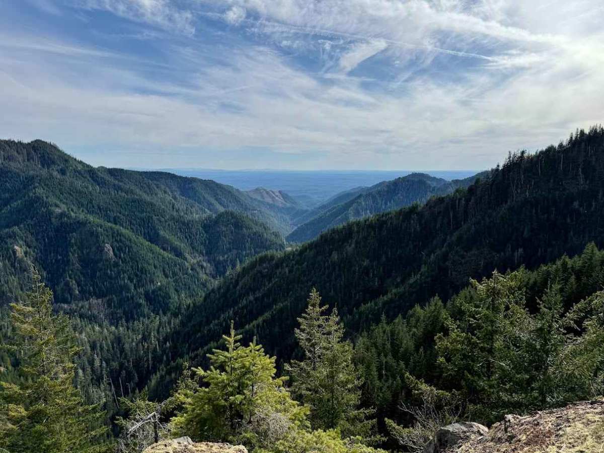 FS 2341 Upper trail photo