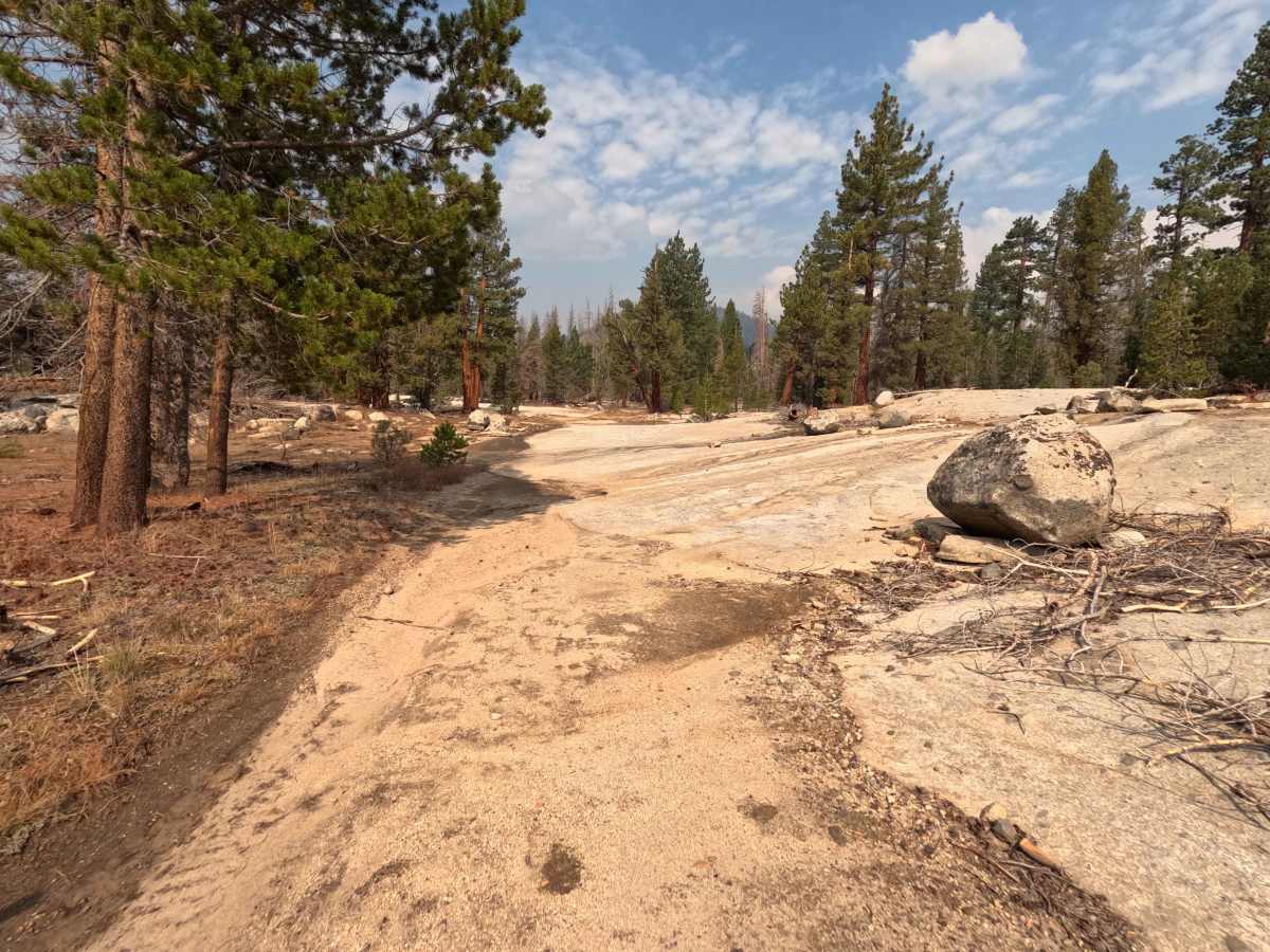 Onion Springs - FS 27E223 photo 4