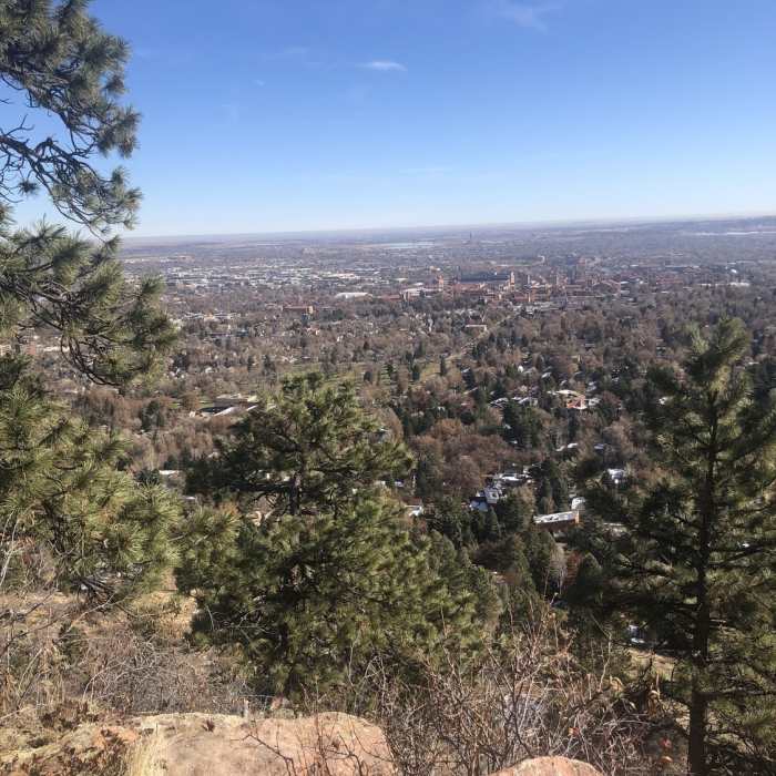 Near Viewpoint Trail