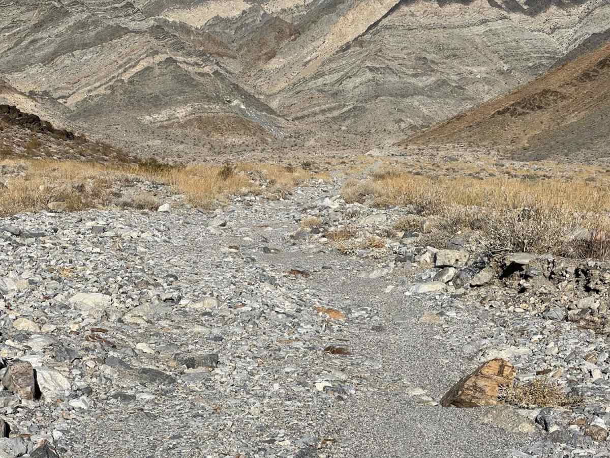 Carrara Canyon Road trail photo
