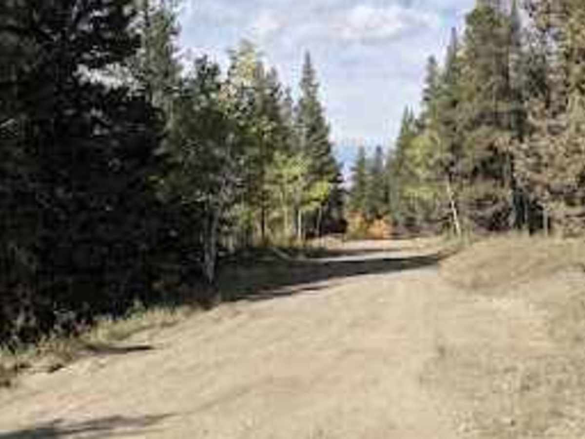 Dutch Creek Road  photo 2