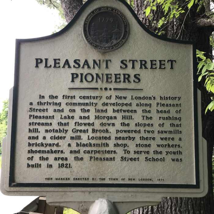 Near Wolf Tree Trail