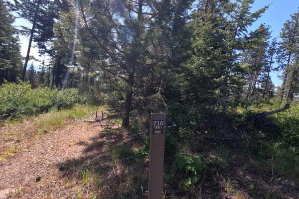 Turkey Knob - Trail 210