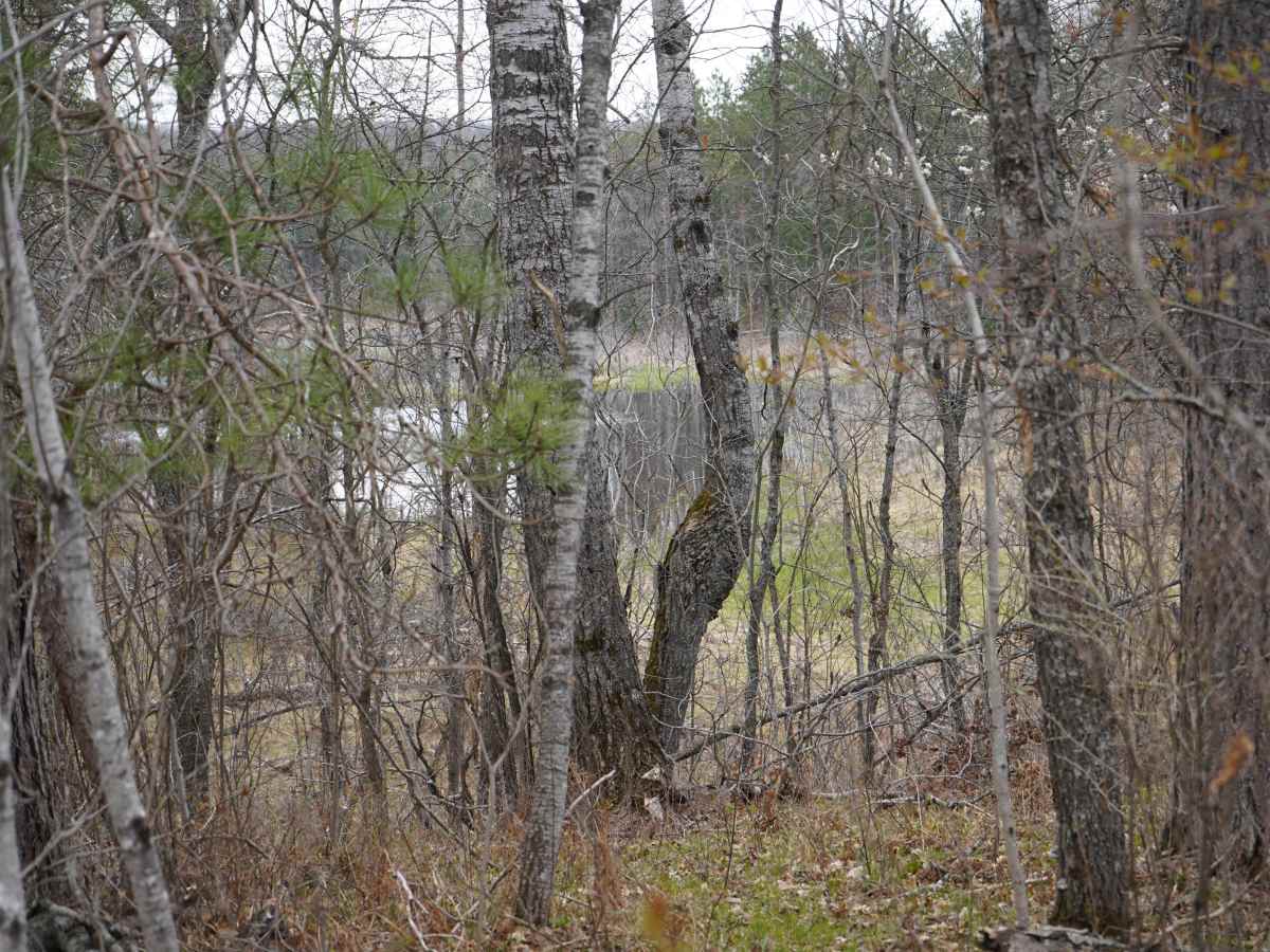 North Union Corners Road photo 5