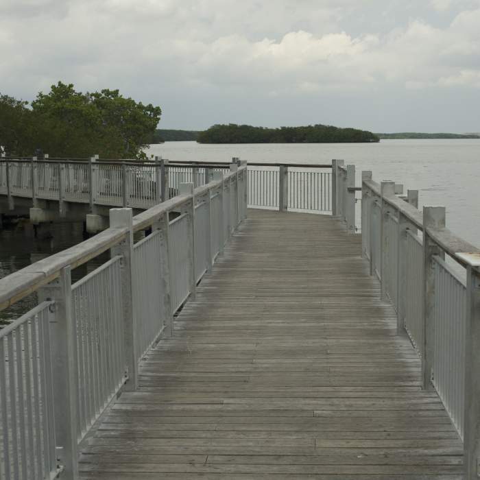 Near Convoy Point Jetty Trail