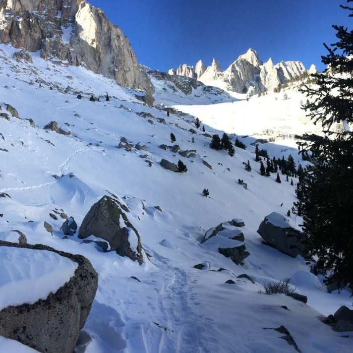 Near North Fork Lone Pine Creek Trail
