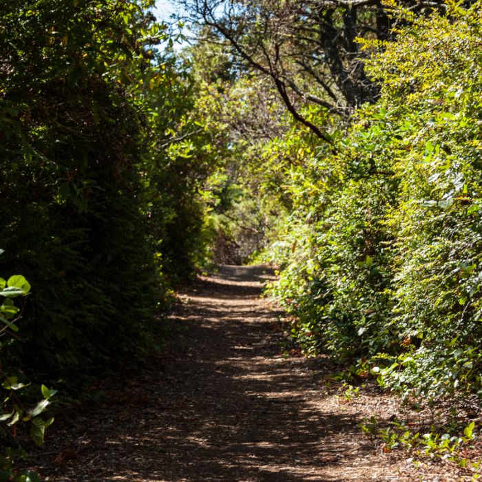 Near New River ACEC Trails Near New River ACEC Trails