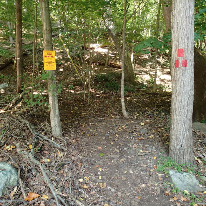 Near Turkey Mountain Red Trail