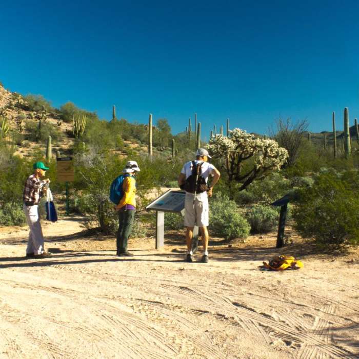 Near Senita Basin to Victoria Mine Trail