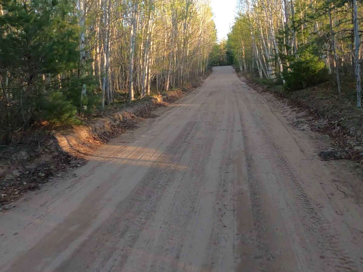 North Maple Block Road - FS 3972  photo 4