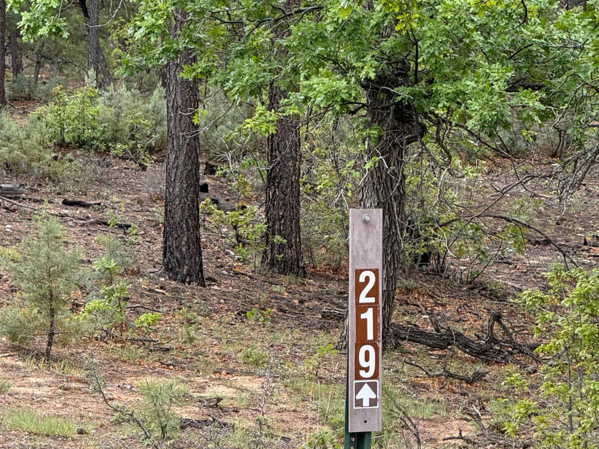 Water Canyon - FS 219 trail photo